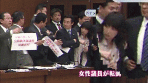 panflash00008673.gif